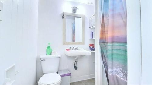 Studio for rent in Québec - La Cité-Limoilou — photo 5