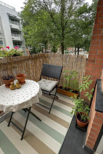 1 bedroom apartment for rent in Montreal - Le Plateau-Mont-Royal — photo 10