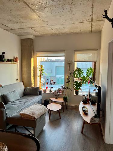 Appartement de 1 chambre à louer à Montreal - Rosemont–La Petite-Patrie — photo 2