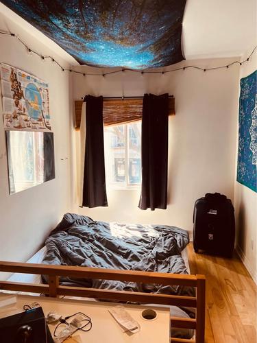 5 bedrooms apartment for rent in Montreal - Le Plateau-Mont-Royal — photo 7