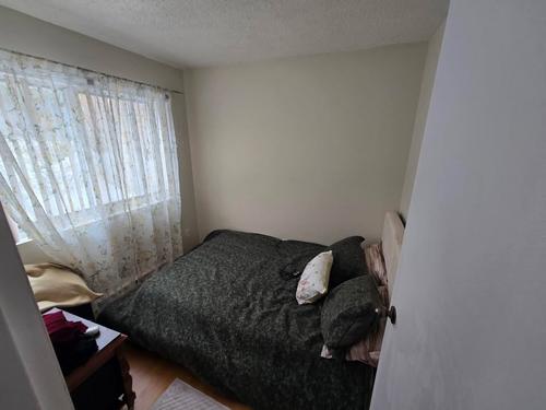 Appartement de 1 chambre à louer à Laval — photo 5