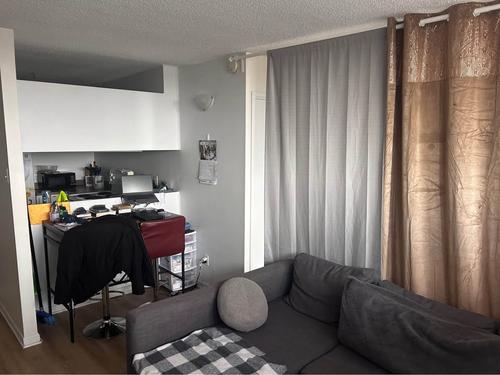 Appartement de 1 chambre à louer à Gatineau — photo 3