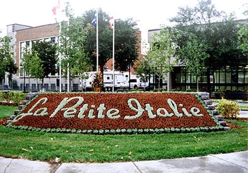 1 bedroom apartment for rent in Montreal - Rosemont–La Petite-Patrie — photo 10