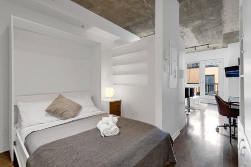 Appartement de 1 chambre à louer à Montreal - Le Plateau-Mont-Royal — photo 6