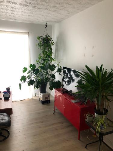 2 bedrooms apartment for rent in Sherbrooke — photo 5
