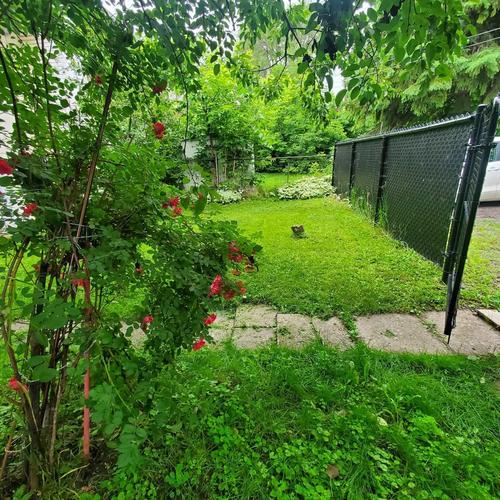 1 bedroom apartment for rent in Montreal - Ville-Marie — photo 7