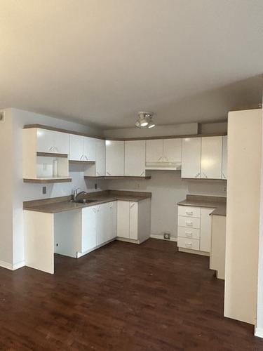 Appartement de 2 chambres à louer à Gatineau — photo 3