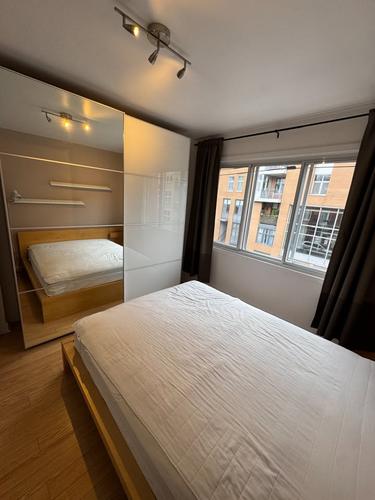 Appartement de 1 chambre à louer à Montreal - Le Plateau-Mont-Royal — photo 3