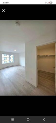 Appartement de 2 chambres à louer à Québec - La Cité-Limoilou — photo 8