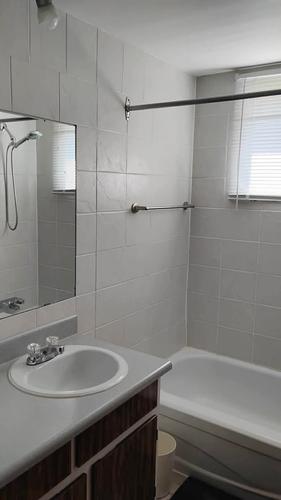 1 bedroom apartment for rent in Lévis — photo 5