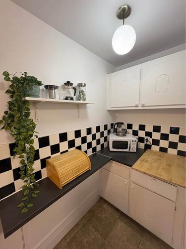 Appartement de 2 chambres à louer à Montreal - Le Plateau-Mont-Royal — photo 3