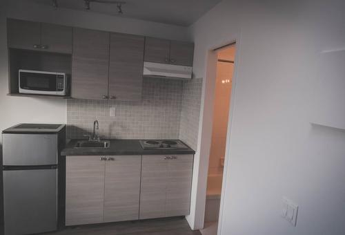 1 bedroom apartment for rent in Montreal - Rosemont–La Petite-Patrie — photo 2