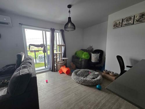 Appartement de 1 chambre à louer à Sherbrooke — photo 3
