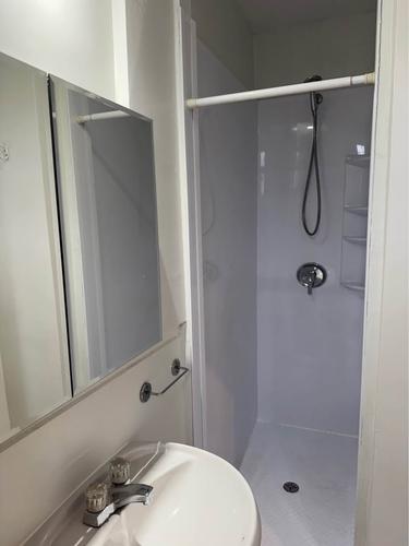 2 bedrooms apartment for rent in Montreal - Rosemont–La Petite-Patrie — photo 11