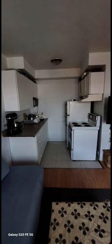 1 bedroom apartment for rent in Montreal - Rosemont–La Petite-Patrie — photo 3