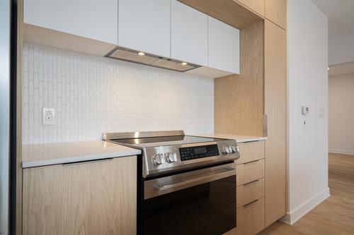 Appartement de 2 chambres à louer à Montreal - Le Plateau-Mont-Royal — photo 3