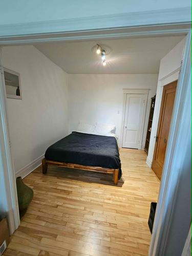 Appartement de 2 chambres à louer à Montreal - Rosemont–La Petite-Patrie — photo 21