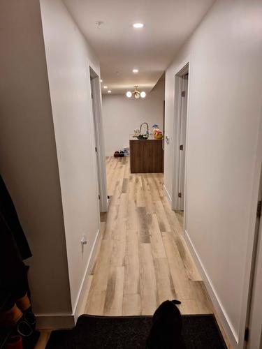 3 bedrooms apartment for rent in Québec - La Cité-Limoilou — photo 15