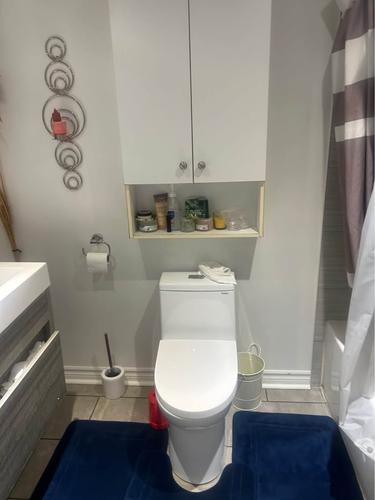 1 bedroom apartment for rent in Longueuil — photo 4
