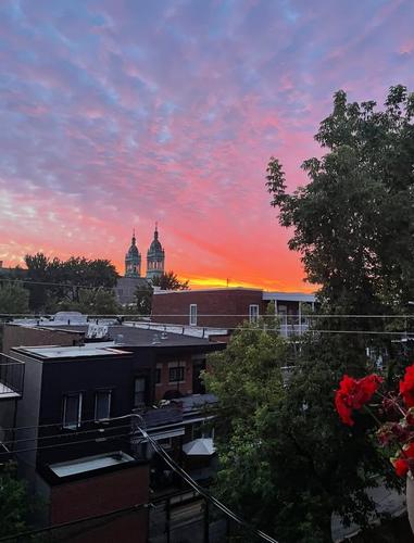 Appartement de 1 chambre à louer à Montreal - Saint-Laurent — photo 8