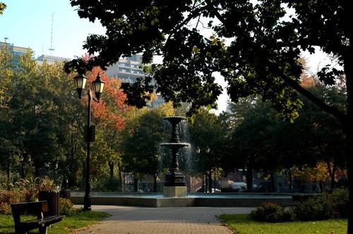 5 bedrooms apartment for rent in Montreal - Le Plateau-Mont-Royal — photo 16