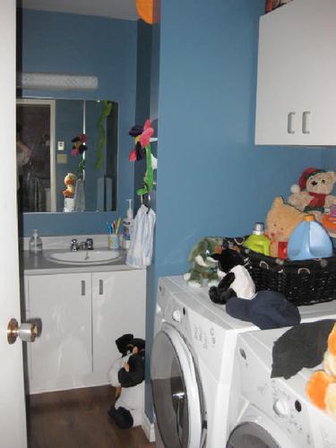 1 bedroom apartment for rent in Québec - Les Rivières — photo 3