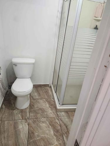 Appartement de 1 chambre à louer à Montreal - Rosemont–La Petite-Patrie — photo 6