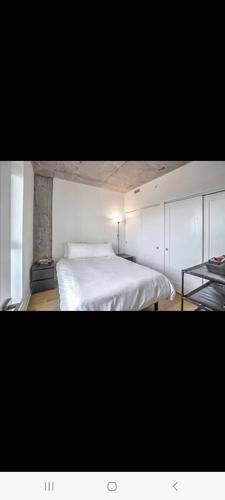 Appartement de 2 chambres à louer à Montreal - Rosemont–La Petite-Patrie — photo 9