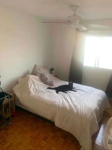 1 bedroom apartment for rent in Longueuil — photo 2