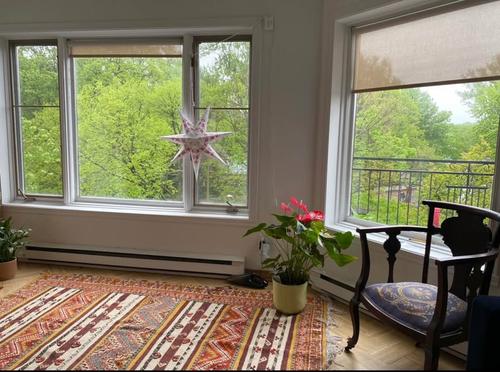 4 bedrooms apartment for rent in Montreal - Le Plateau-Mont-Royal — photo 20