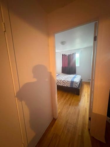 2 bedrooms apartment for rent in Laval — photo 8
