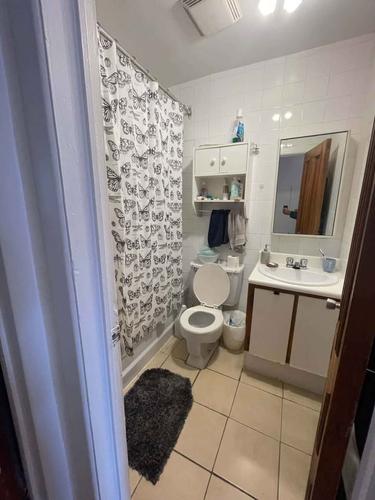 Appartement de 2 chambres à louer à Montreal - Le Plateau-Mont-Royal — photo 10