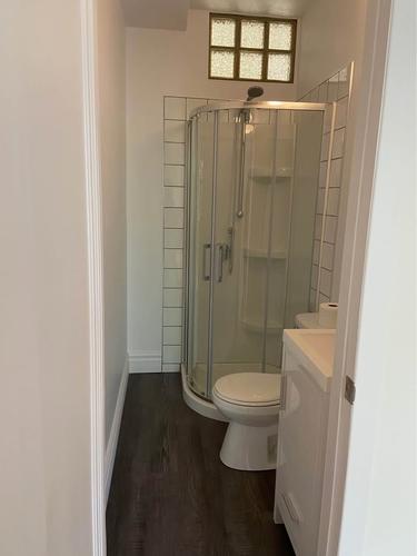 1 bedroom apartment for rent in Montreal - Le Plateau-Mont-Royal — photo 11