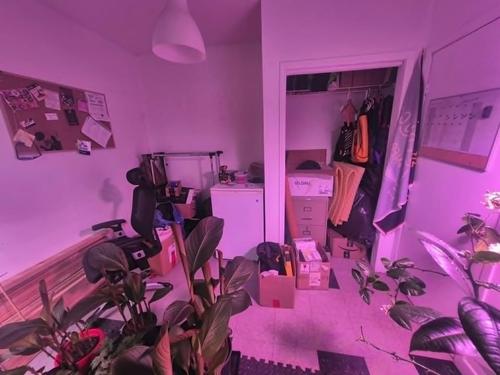 Appartement de 2 chambres à louer à Québec - La Cité-Limoilou — photo 13