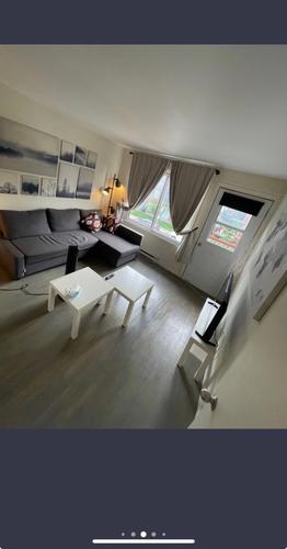 1 bedroom apartment for rent in Montreal - Rosemont–La Petite-Patrie — photo 6