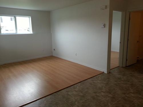 Appartement de 1 chambre à louer à Gatineau — photo 2