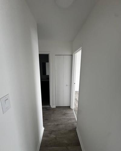 Appartement de 2 chambres à louer à Montreal - Rosemont–La Petite-Patrie — photo 15