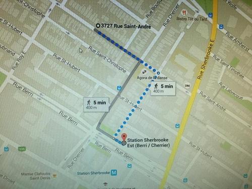 1 bedroom apartment for rent in Montreal - Le Plateau-Mont-Royal — photo 8