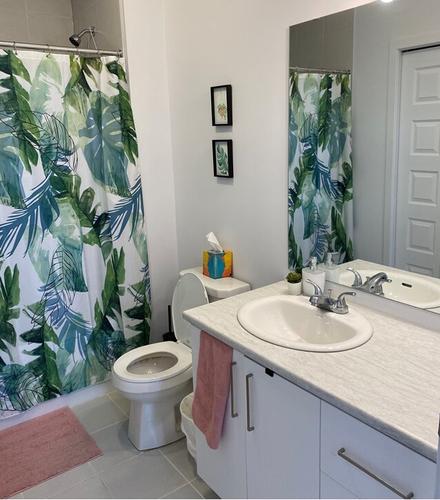 Appartement de 1 chambre à louer à Gatineau — photo 7