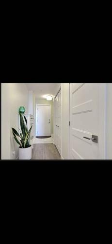 Appartement de 1 chambre à louer à Laval — photo 12