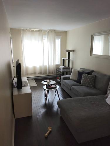 2 bedrooms apartment for rent in Montreal - Le Plateau-Mont-Royal — photo 2