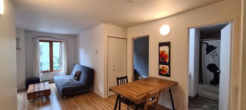 1 bedroom apartment for rent in Montreal - Le Plateau-Mont-Royal — photo 8