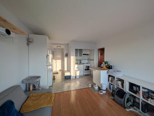 1 bedroom apartment for rent in Montreal - Le Plateau-Mont-Royal — photo 2