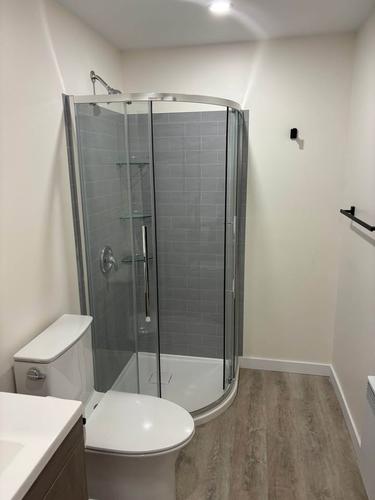 1 bedroom apartment for rent in Gatineau — photo 4