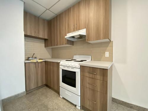 1 bedroom apartment for rent in Montreal - Ville-Marie — photo 6