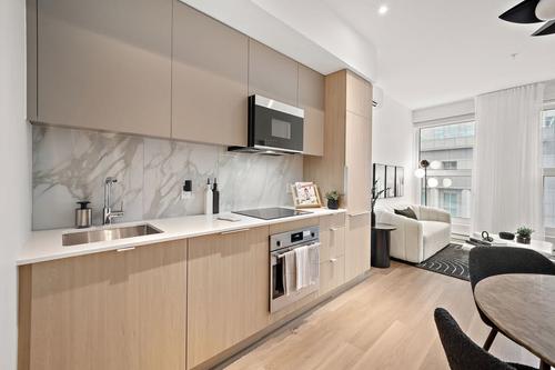 Appartement de 1 chambre à louer à Montreal - Le Plateau-Mont-Royal — photo 6