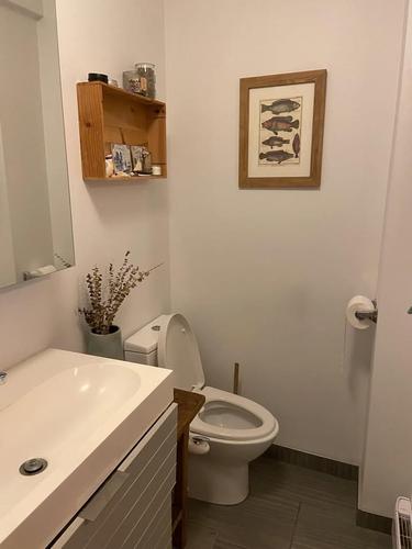 1 bedroom apartment for rent in Montreal - Le Sud-Ouest — photo 6