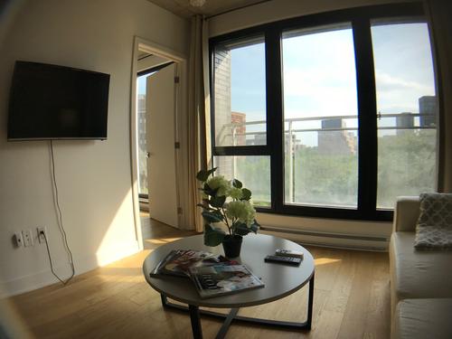 1 bedroom apartment for rent in Montreal - Ville-Marie — photo 4