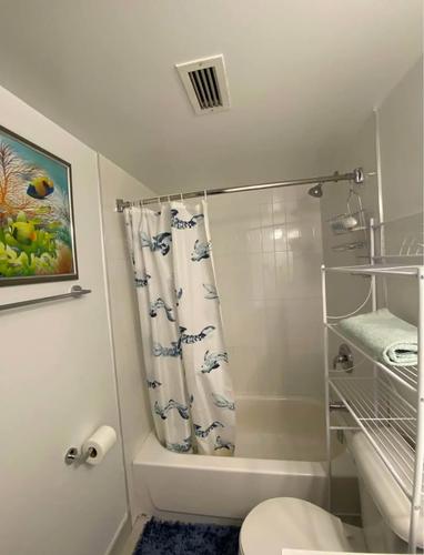 1 bedroom apartment for rent in Montreal - Le Plateau-Mont-Royal — photo 8