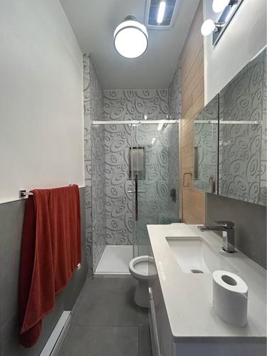 1 bedroom apartment for rent in Montreal - Le Plateau-Mont-Royal — photo 2